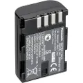 Panasonic Battery Dmw-blf19e