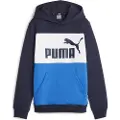 Puma Essentials 849081 Hættetrøje