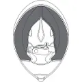 AGV Corsa R Kindpuder