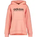 Adidas All Szn Fleece Graphic Hættetrøje