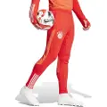 Adidas Fc Bayern Munich 23/24 Træning Træningsbukser
