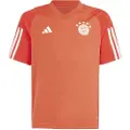 Adidas Fc Bayern Munich 23/24 Træning Junior T-shirt Med Korte ærmer