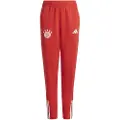 Adidas Fc Bayern Munich 23/24 Træning Junior Træningsbukser