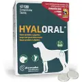 Pharmadiet Hyaloral Store Racer 120 Tabletter Hundefodertilskud