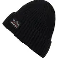 Protest Prtworsley Beanie