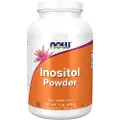 Now - Inositol Pulver 454 g