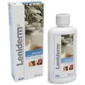 Geulincx Shampoo - 250 ml