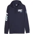 Puma Manchester City Football Icons Hættetrøje