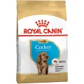 Royal Canin Puppy Cocker Spaniel hundefoder