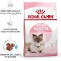 Royal Canin Mother & Babycat kattetørfoder - 400 g