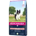 Eukanuba Senior Small/medium Lamb & Rice 12 kg