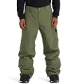 Dc-shoes Snow Chino Bukser grøn