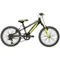 Adriatica Rock 20´´ 6s Mtb Cykel