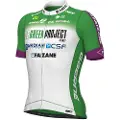 ALÉ Green Project-bardiani Csf-faizane Pro 2023 Kortærmet Trøje