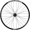 Mavic Deemax Park 29´´ Int Mtb Baghjul