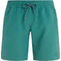 Protest Haupuka Badeshorts
