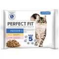Perfect Fit Økonomipakke: 96 x 85 g Perfect Fit - Indoor 1+ Kylling & Laks