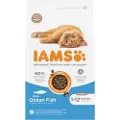 IAMS Kitten kattefoder med havfisk