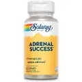 Solaray Adrenal Succes Kapsler 60 Enheder