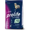 PROLIFE Økonomipakker! 2 x Prolife - 2 x 10 kg Grain Free Adult Sensitive Medium/Large Fisk & Kartofler