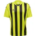 Hummel Core Xk Striped T-shirt Med Korte ærmer
