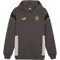 Puma Borussia Dortmund Football Archive Hættetrøje