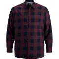 Jack & Jones Gingham Twill Skjorte Med Lange ærmer