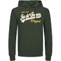 Jack & Jones Logo 2 Col Plus Size Hættetrøje