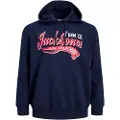 Jack & Jones Logo 2 Col Plus Size Hættetrøje