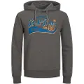 Jack & Jones Logo 2 Col Plus Size Hættetrøje