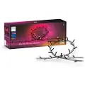Philips Hue Festavia 500 Leds 40m