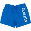 Calvin Klein Km0km01004 Badeshorts