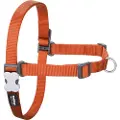Red Dingo No-pull Hundeseletøj