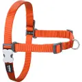 Red Dingo No-pull Hundeseletøj