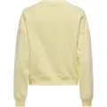 ONLY Diana Sweatshirt