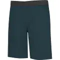 Wild Country Session Shorts