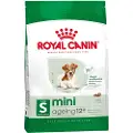 Royal Canin Mini Ageing 12+ - Økonomipakke: 2 x 3,5 kg