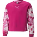 Puma Sweatshirts Puma ALPHA CREW barn 13 / 14 Jahre