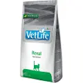 Farmina Vet Life Renal 2kg Kattemad