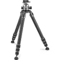Gitzo Kit Systematic Gt5543ls + Gh4383lr Stativ