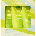 Umberto Giannini Scalp Restore Starter Kit Hårplejesæt 1 stk.