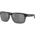 Oakley Holbrook Polariserede Solbriller