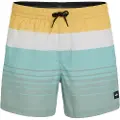 O'Neill Mix&match Cali Print 15´´ Badeshorts