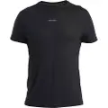 Icebreaker Merino 125 Cool-lite Speed T-shirt Med Korte ærmer