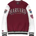 Replay Dyed Brushed Cotton Sweatshirt
