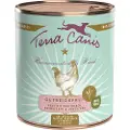 Terra canis Kornfrit 6 x 800 g - Vildt med kartofler, broccoli & tranebær