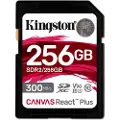 Kingston Sdr2/256gb 256gb Hukommelseskort