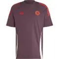 Adidas Fc Bayern Munich 24/25 T-shirt Med Korte ærmer