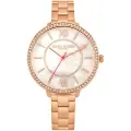 Daisy Dixon Dd088rgm Dameur