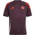 Adidas Fc Bayern Munich 24/25 Træning Junior T-shirt Med Korte ærmer